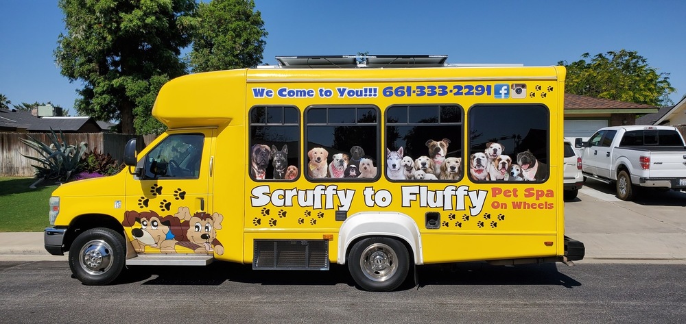 Scruffy to Fluffy puts pet service on 